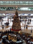 The Christmas Tree at The Marina Bay Sands Hotel Tower 1